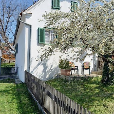 Ferienhaus Im Thermenland Ilz Kültér fotó