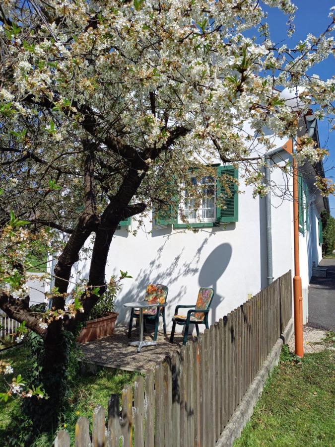 Ferienhaus Im Thermenland Ilz Kültér fotó