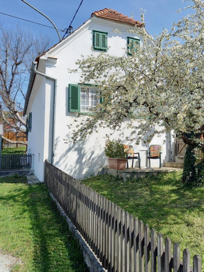 Ferienhaus Im Thermenland Ilz Kültér fotó